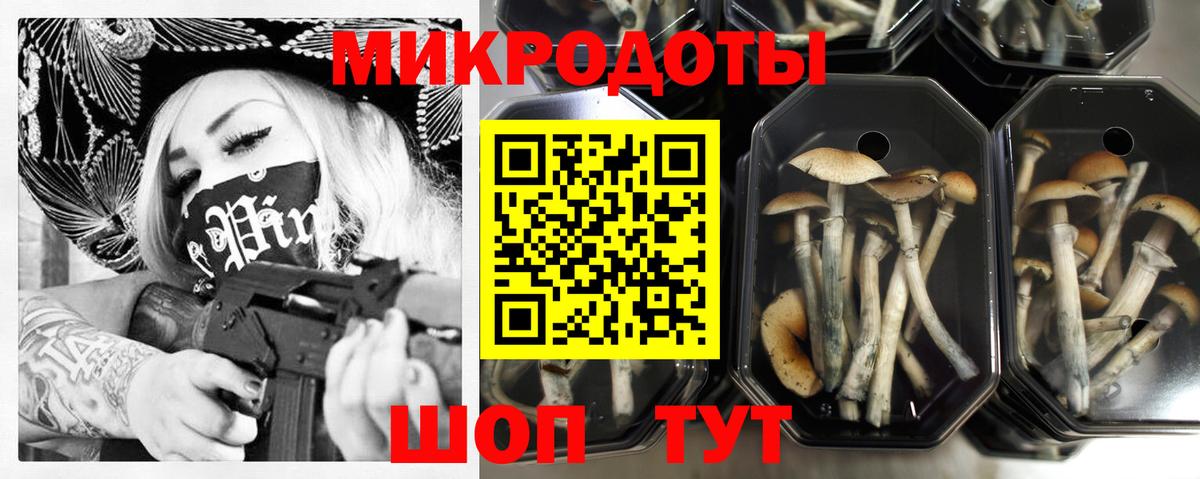 Галлюциногенные грибы прущие грибы  Вход с VPN  Видное 